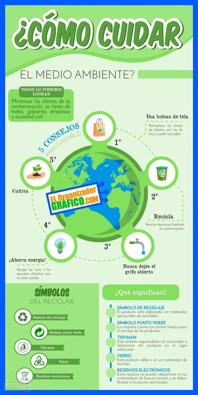 Cómo Hacer una Infografía sobre El Cuidado Del Medio Ambiente Fácil y Rápido