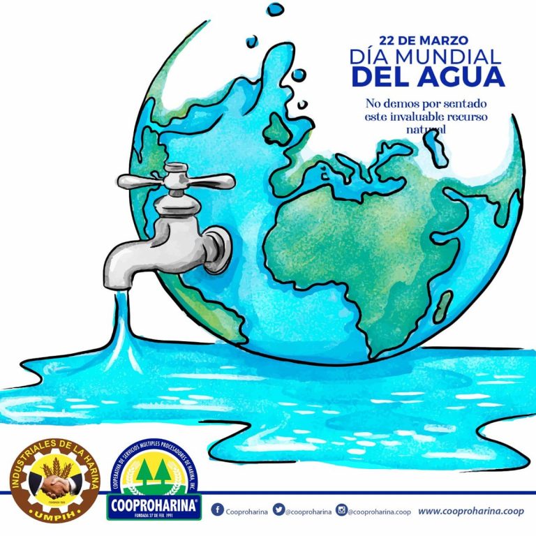 C Mo Hacer Un Cartel Sobre La Importancia Del Agua Tutorial
