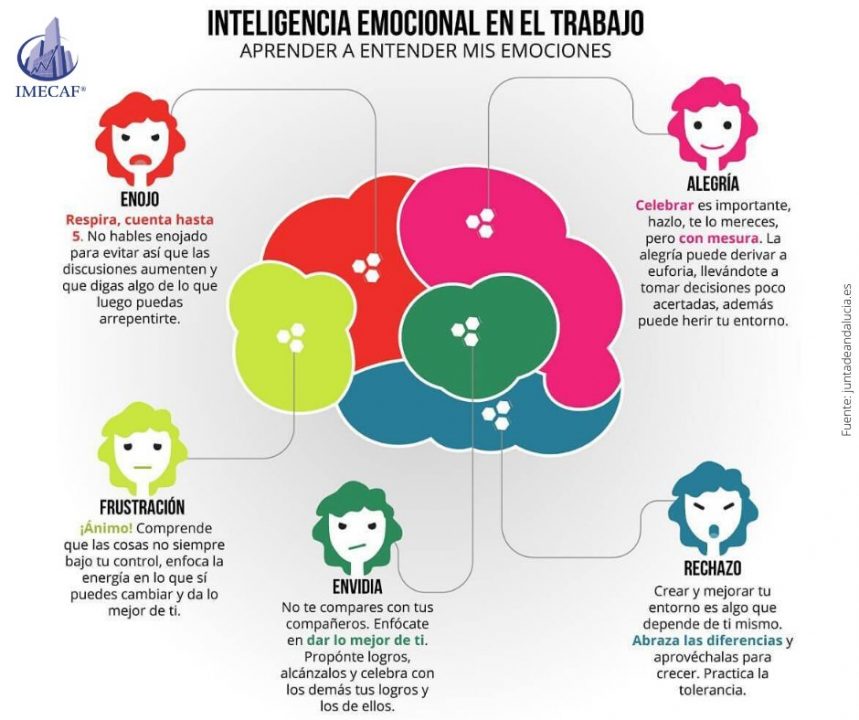 Cómo Hacer Una Infografía Sobre Inteligencia Emocional ⋆ Paso Por Paso 2024